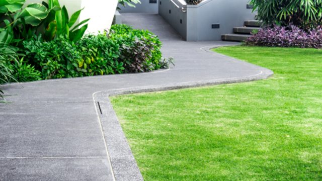 Home Decor and Garden